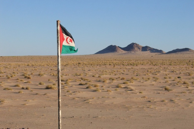 Sahrawi Arab Democratic Republic (SADR) flag